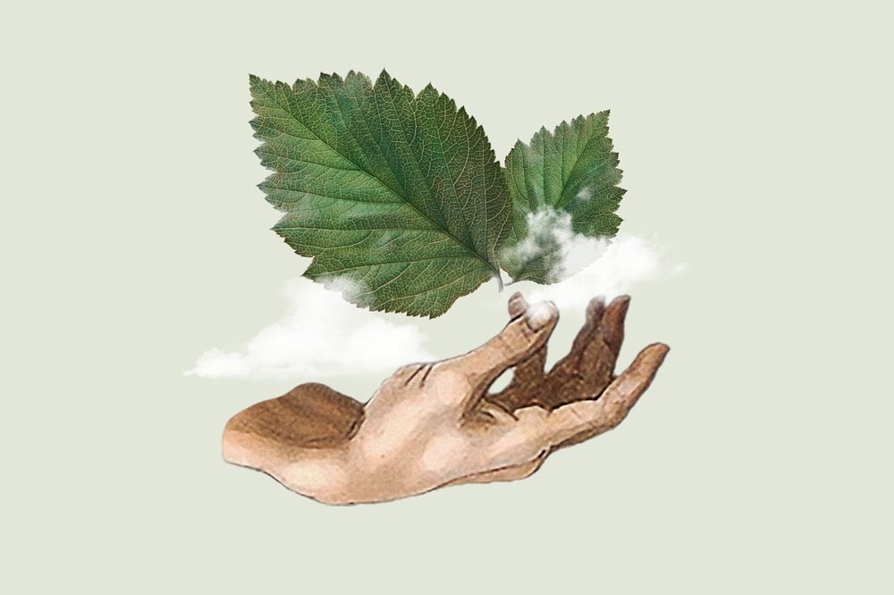 Fresh air, hand presenting leaf & cloud editable design. Remixed by rawpixel.