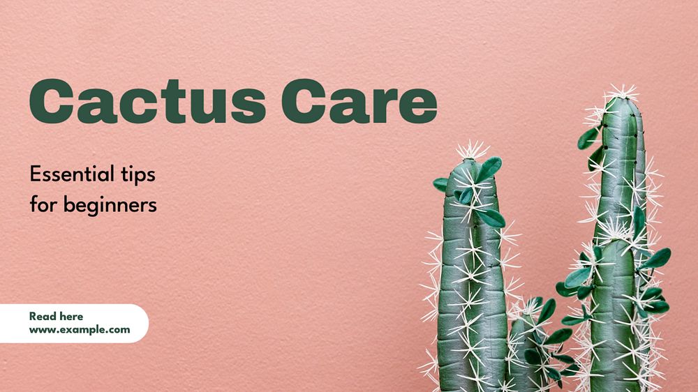 Cactus care blog banner template, editable text