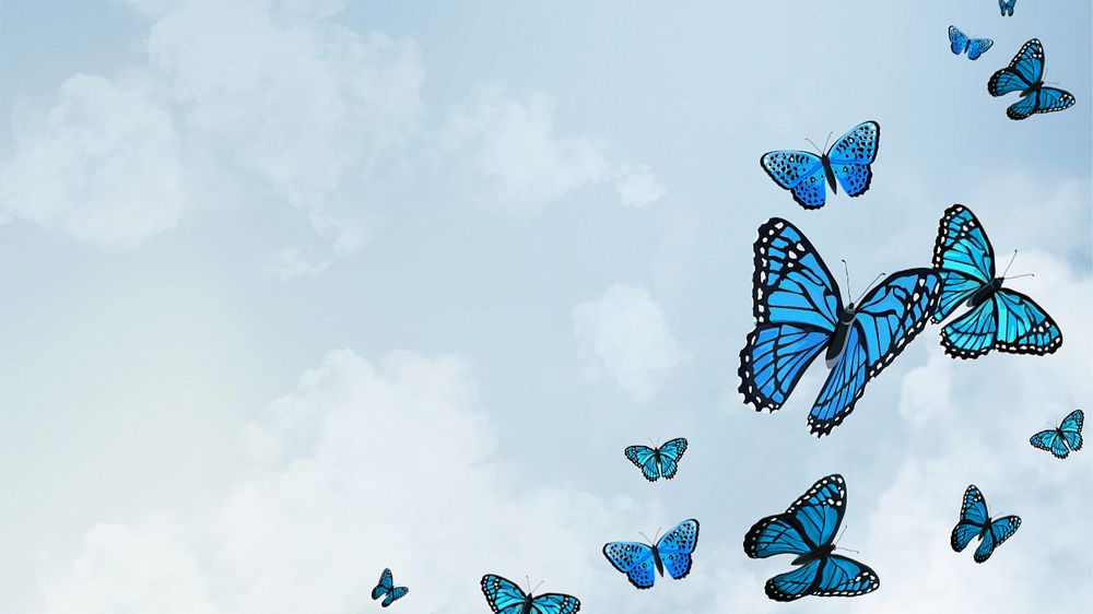 Editable butterfly sky   desktop wallpaper