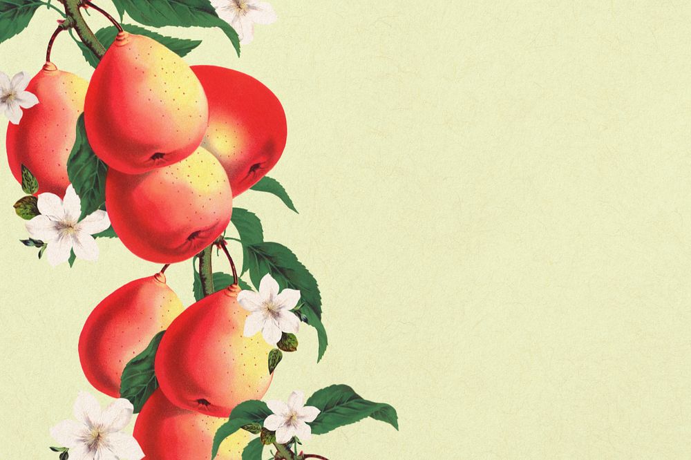 Pear border, vintage illustration, editable design