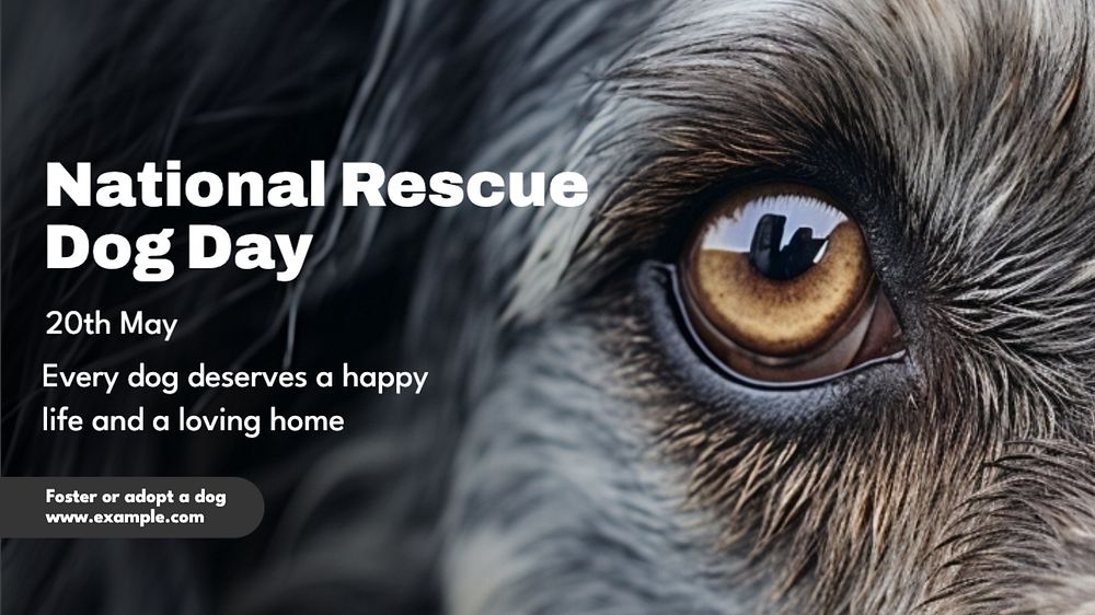 Rescue dog day blog banner template, editable text