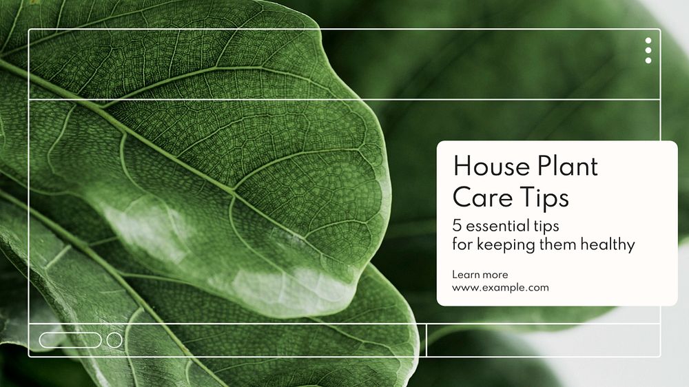 House plant care  blog banner template, editable text