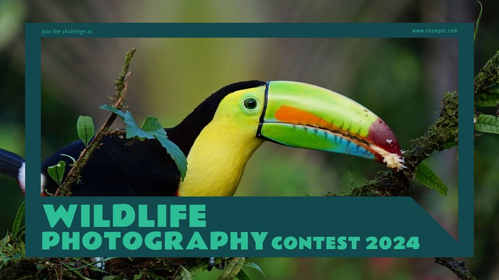 Wildlife photography contest  blog banner template, editable text