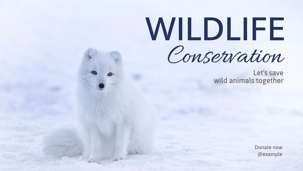 Wildlife conservation  blog banner template, editable text