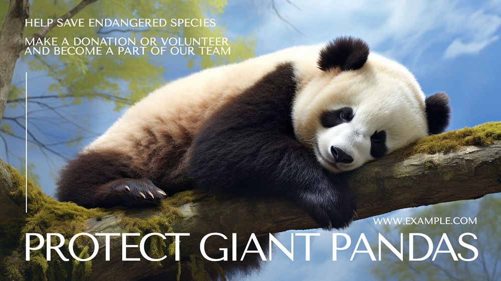 Protect giant panda blog banner | Free Editable Template - rawpixel