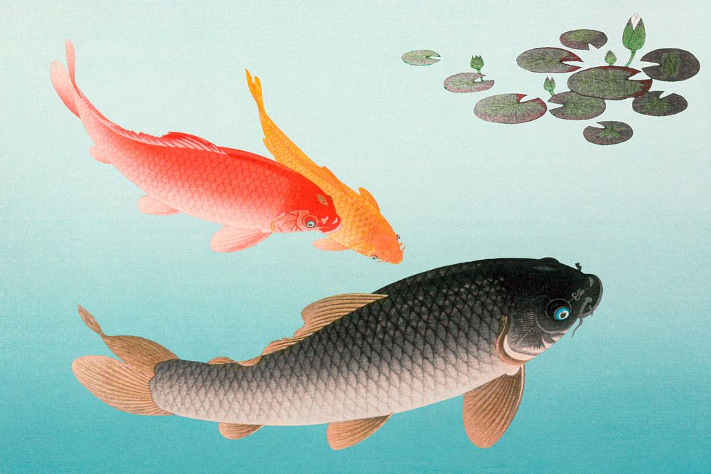 Ohara Koson's editable Common and Golden Carp. Original from the Los Angeles County Museum of Art. Remastered by rawpixel.