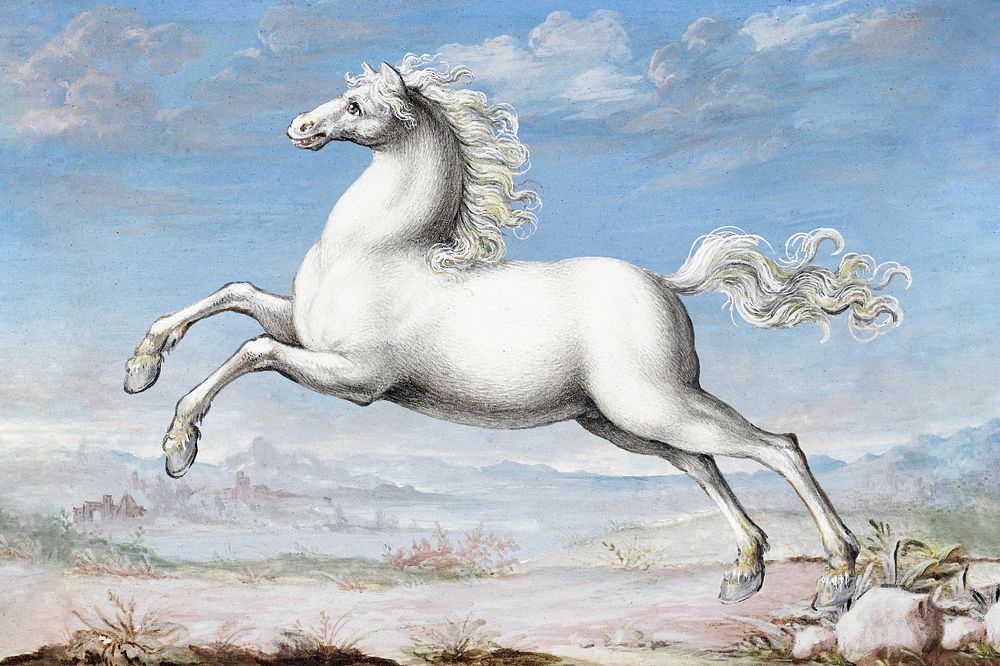 White horse, editable animal painting by Joris Hoefnagel. Original from The Rijksmuseum. Remasterd by rawpixel.