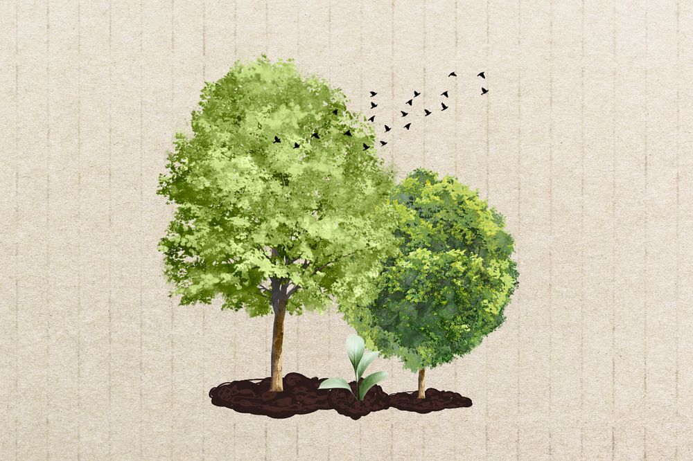 Trees environment aesthetic, creative remix, editable design