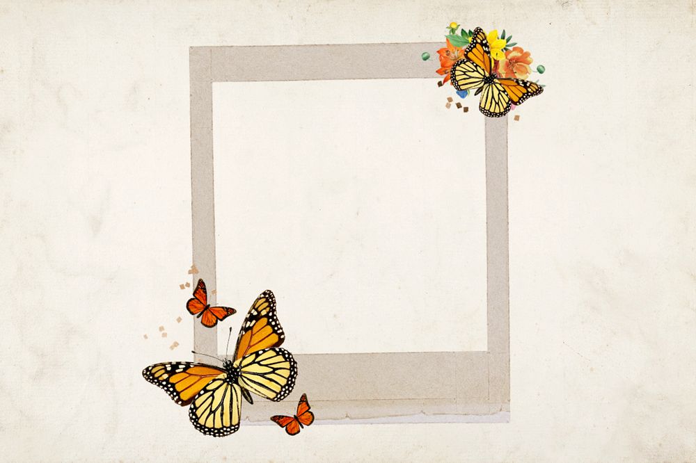 Butterfly instant film frame, creative remix, editable design