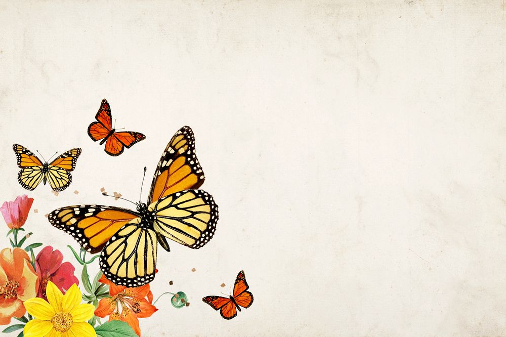 Old paper textured background, colorful butterfly border, editable design