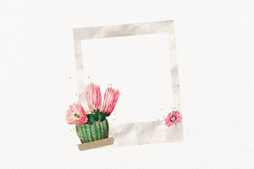 Cactus flower instant film frame, creative remix, editable design