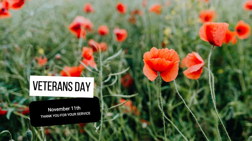 Veterans day, USA blog banner template, editable text