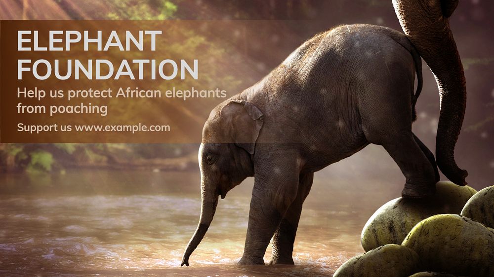 Elephant foundation blog banner template, editable text