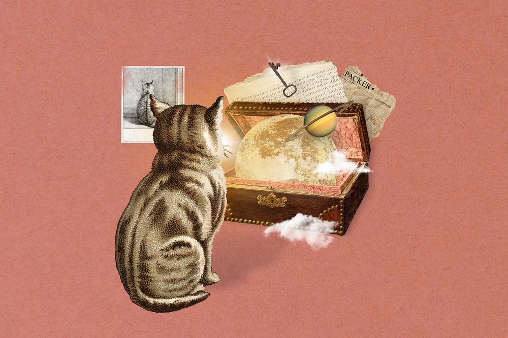 Vintage cat fantasy world collage illustration editable design