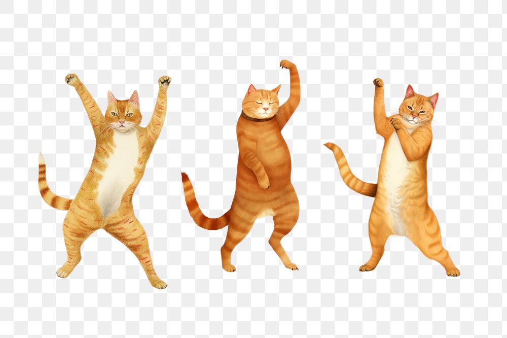 Dancing cat at party png, digital art editable remix