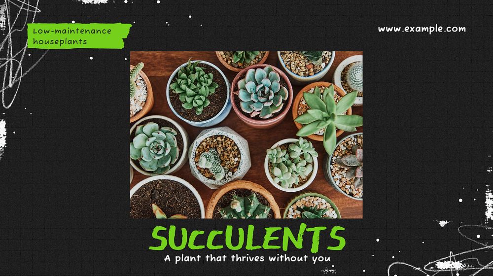 Succulents blog banner template, editable text