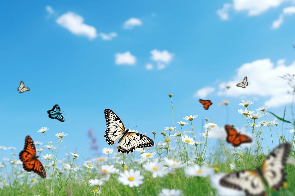 Butterflies & flowers animal wildlife | Free Scene Creator - rawpixel