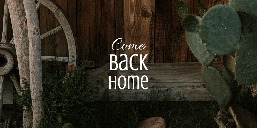 Cactus aesthetic Twitter post template, come back home quote