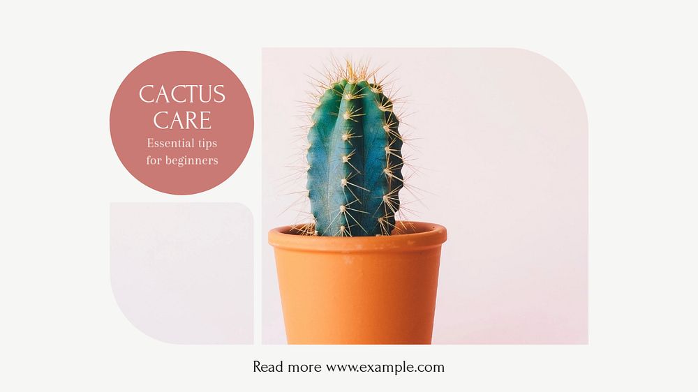 Cactus care blog banner template, editable design