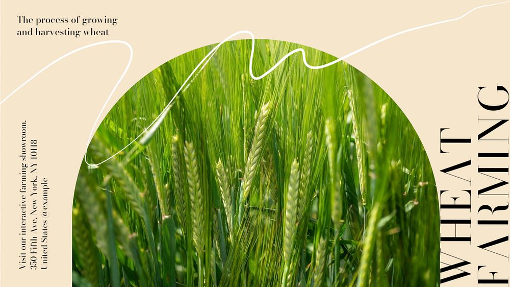 Wheat farming blog banner template, editable design