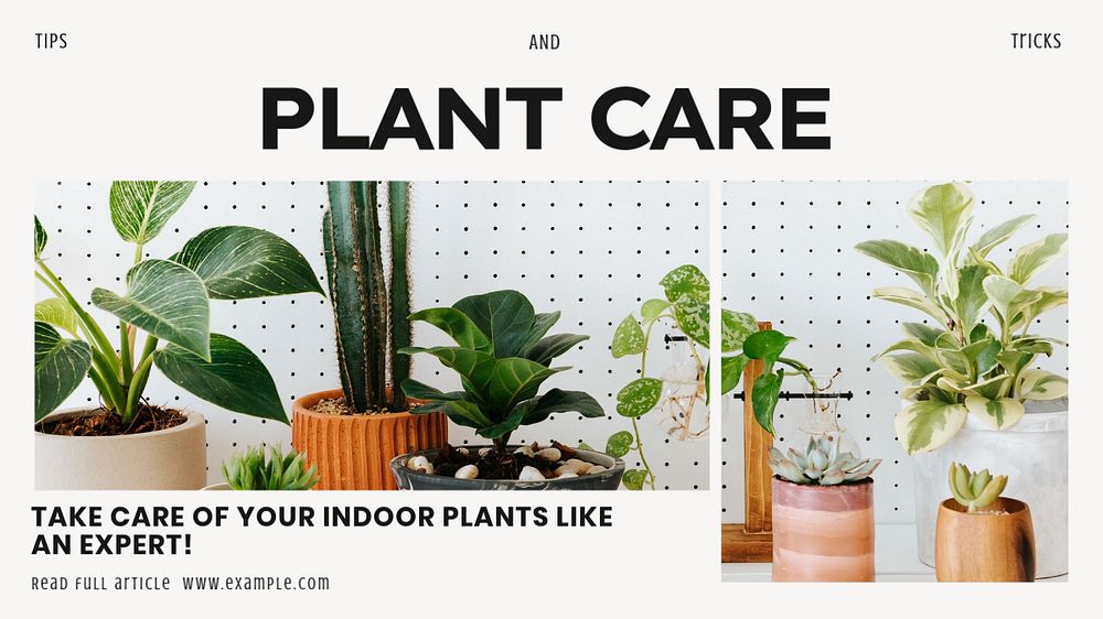 Plant care tips blog banner template, editable text