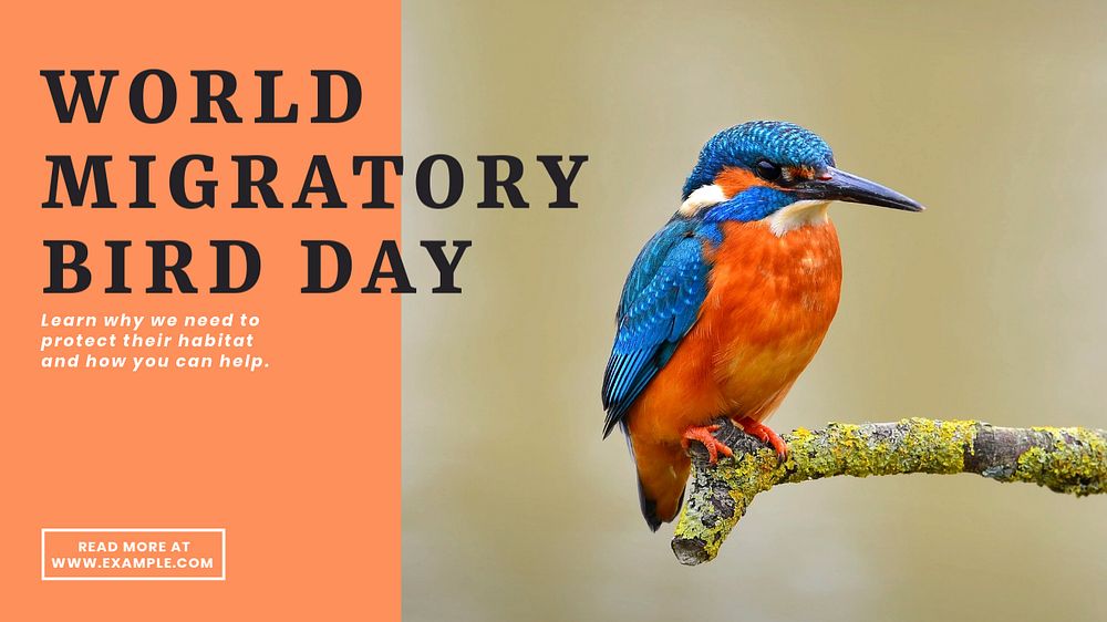 Bird Day blog banner template, editable text