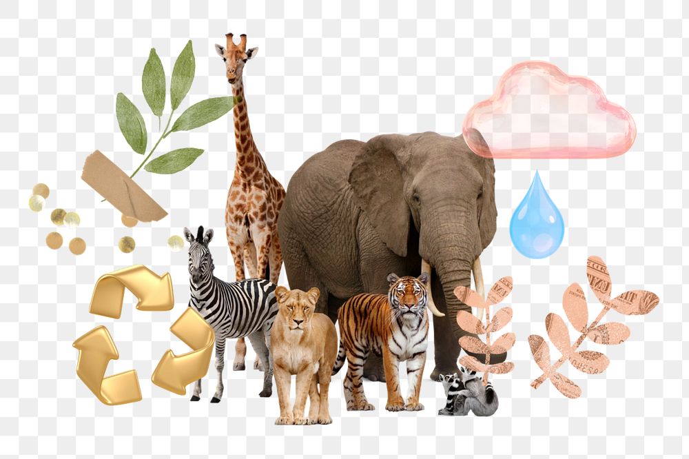 Wildlife conservation png, environment remix, transparent background, editable design