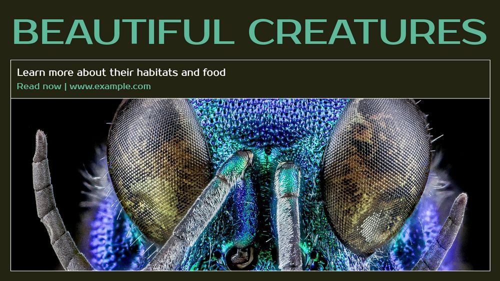 Animal habitats blog banner template, editable text