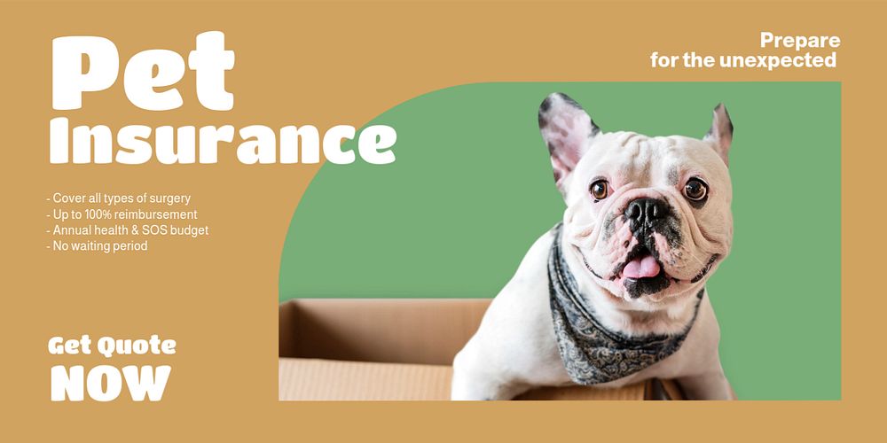 Pet insurance  Twitter ad template, editable text