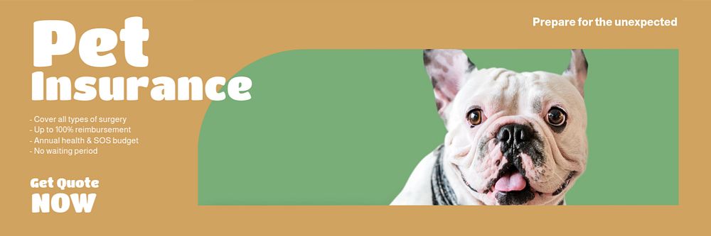 Pet insurance  Twitter header template, editable text