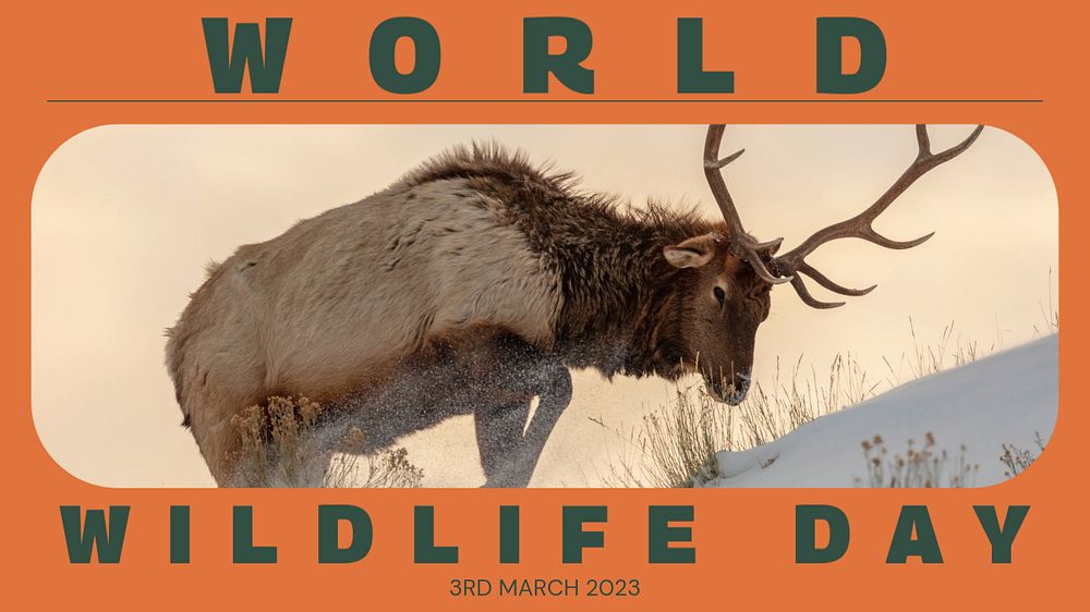 World wildlife day blog banner template, editable text & design