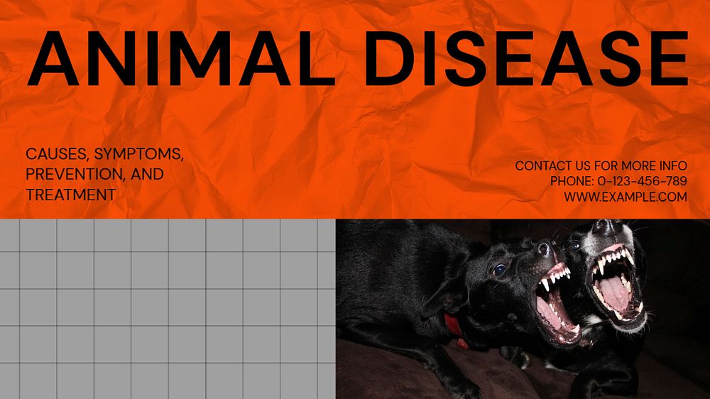 Animal disease blog banner template, editable text