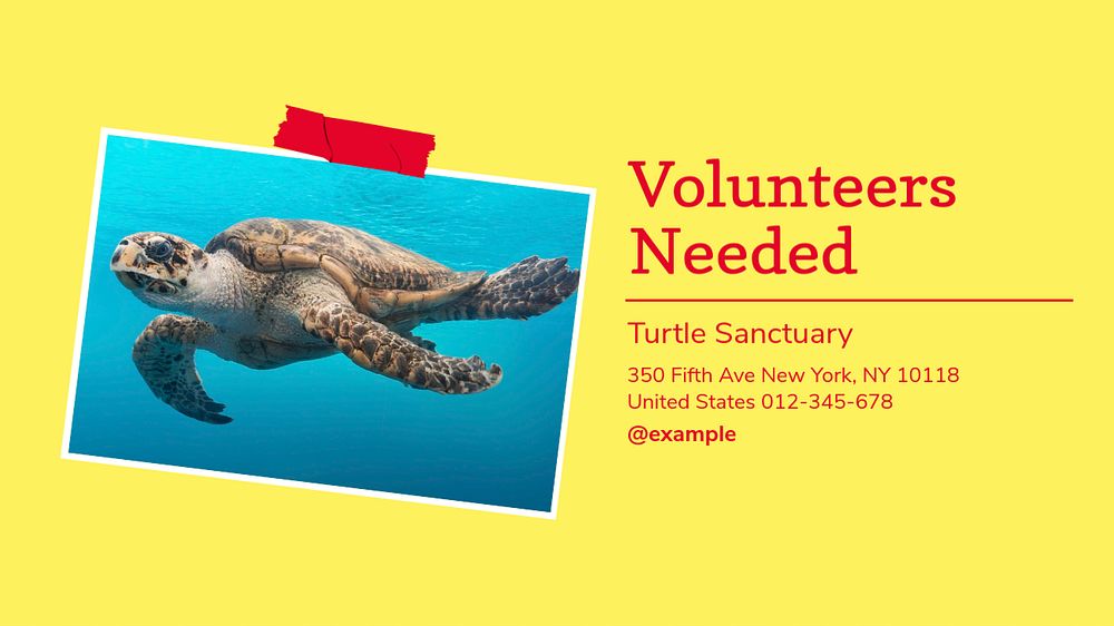 Turtle endangered ocean environment blog banner template, editable ad