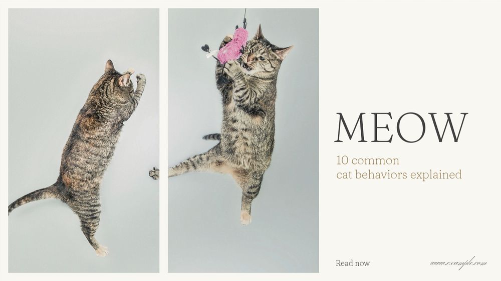 Cat & kitten blog banner template, editable text & design