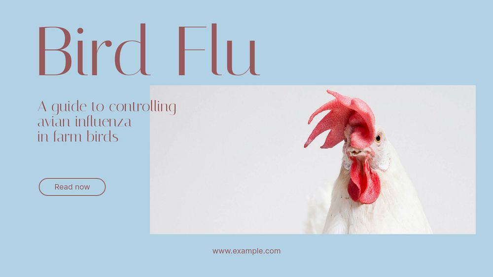 Bird flu blog banner template, editable text & design