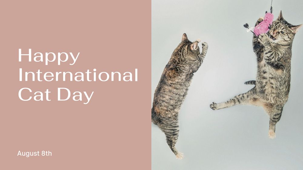 International cat day blog banner template, editable text & design