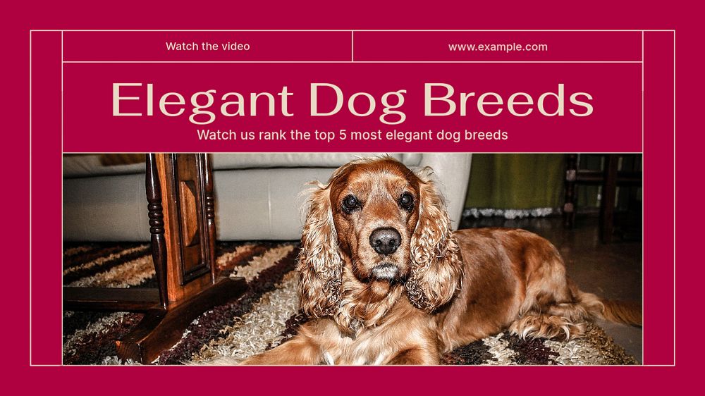 Elegant dog breeds blog banner template, editable text & design