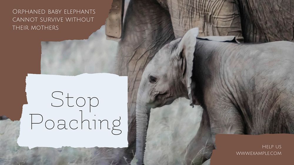 Stop poaching blog banner template, editable text & design