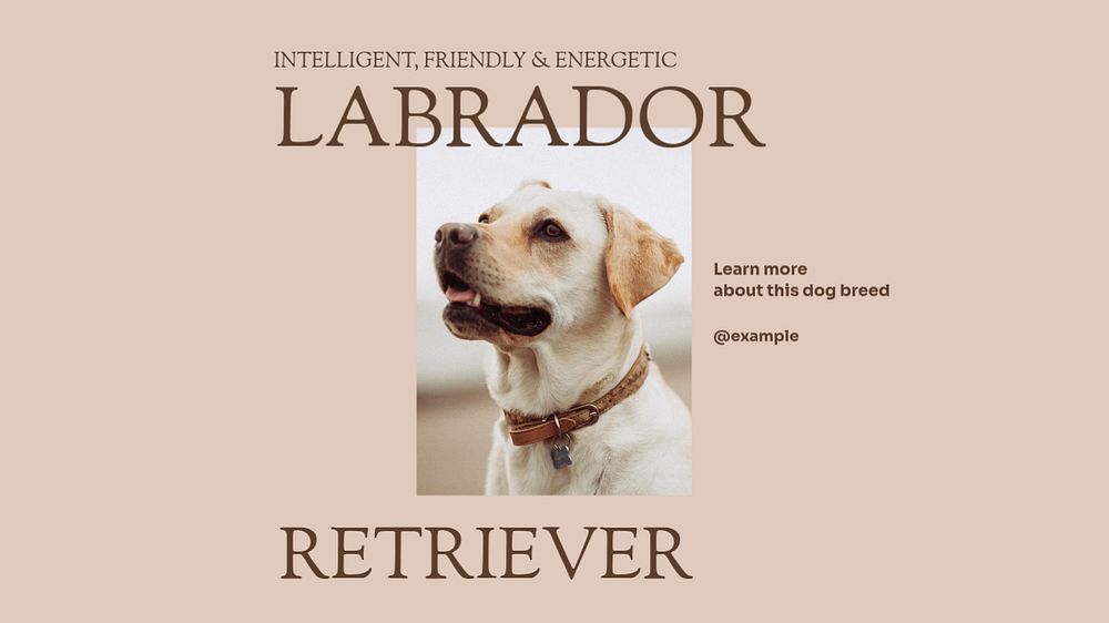 Labrador retriever blog banner template, editable text & design