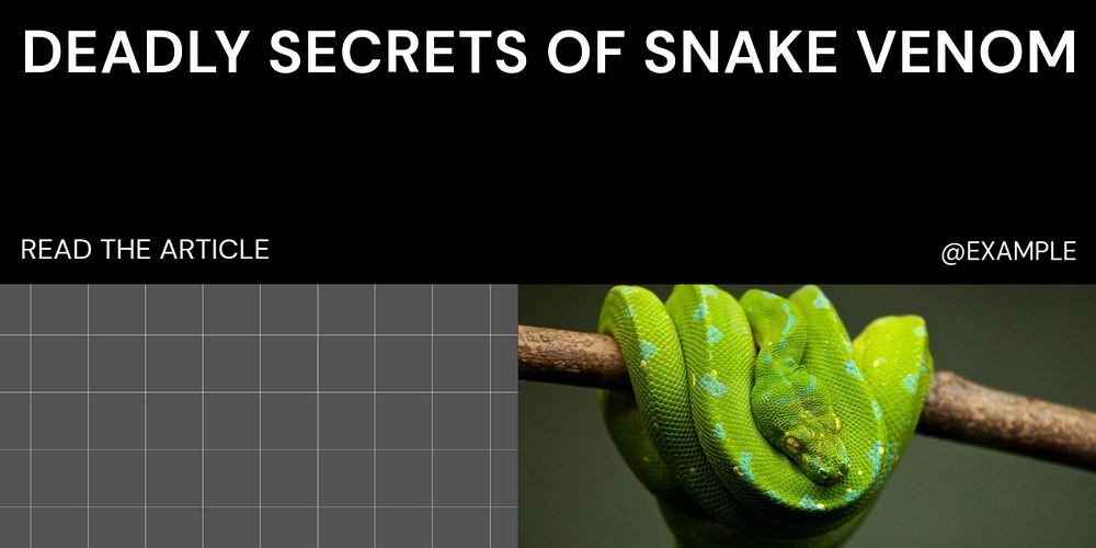 Snake venom Twitter ad template, editable text & design