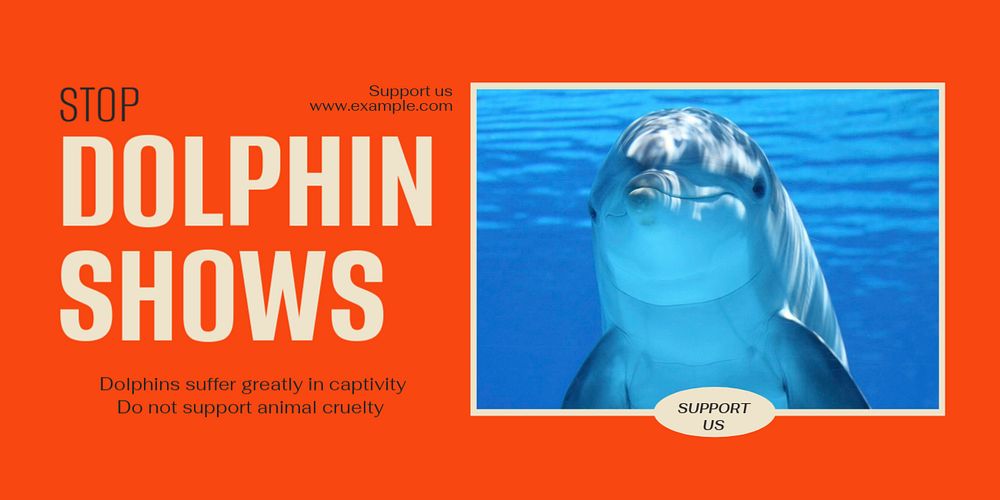 Stop dolphin show Twitter ad template, editable text & design