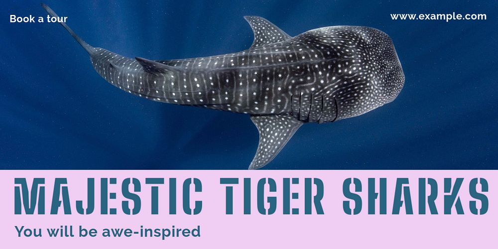 Tiger sharks Twitter post template, editable text