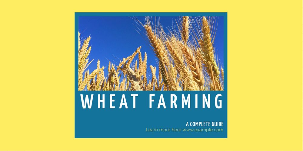 Wheat farming Twitter post template, editable text