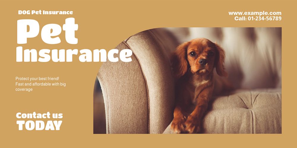 Pet insurance Twitter post template, editable text