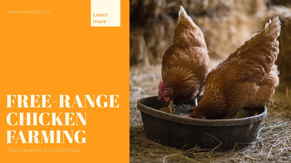 Chicken farming blog banner template, editable design