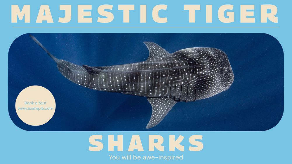 Tiger sharks blog banner template, editable design