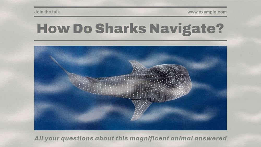 Questions about sharks blog banner template, editable design