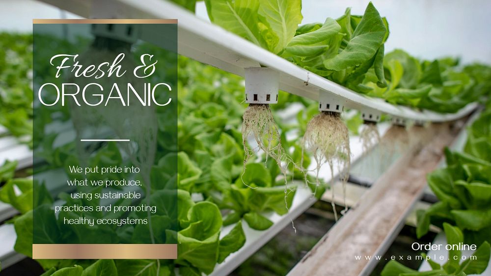 Organic farming  blog banner template, editable text