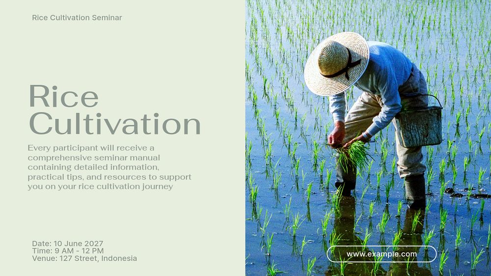 Rice cultivation  blog banner template, editable text