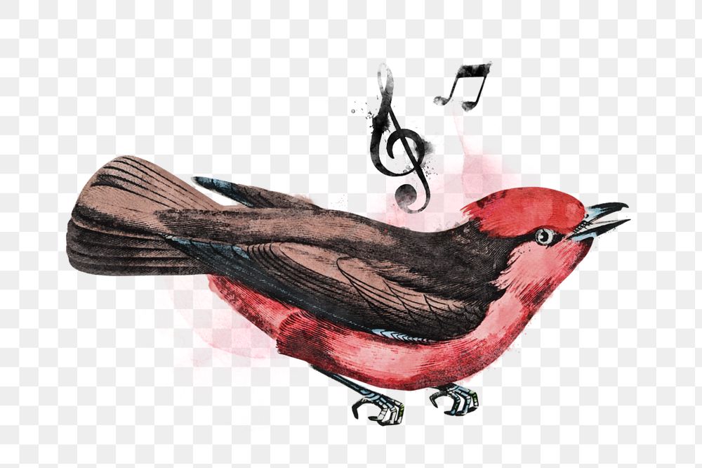 Watercolor singing bird png element, editable remix design